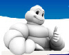 Guide Michelin